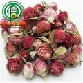 【满包邮】千日红干花茶统货散装西藏产地直供百日红，火球花沁信源中药批发