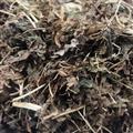 新辉药业正品海金沙草