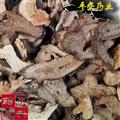 白术片 湖北烘干 多年生 无硫蜂窝 于术 冬术 浙术 种术