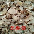 三叉白芨 白芨片 规格齐全 量大价优 可磨粉