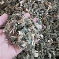 诺源药材行中药材中药材艾纳香 大风艾 牛耳艾 大风叶 紫再枫 大枫草