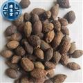 【康生堂】胖大海 统 批发各种中药材一手货源 诚信经营 产地 广西壮族自治区