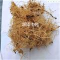 【细辛水洗净货】【润泽中药】中药材批发供应 规格齐全 量大从优