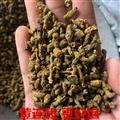 黄连 黄连沫 加工黄连片碎段 无杂质 打粉熬膏 产地 四川省