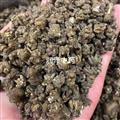 【水洗猫爪草】【润泽中药】中药材批发供应 规格齐全 量大从优