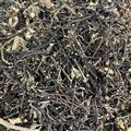 威灵仙 威灵仙水洗选段  今年新货 质量好 药效强 过筛干净 产地 辽宁省
