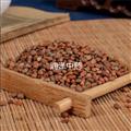 【炒莱菔子】【润泽中药】中药材批发供应 规格齐全 量大从优