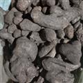 京辉药业 干姜 姜碳  优质原材料去皮炮制 正品 