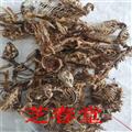 批发冷背中药材 优质 正品 赛隆骨 瞎眼鼠 保障质量 诚信经营