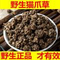 中药材 猫爪 新鲜无硫正品水洗 猫抓草 中草药包邮