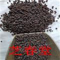 中药材 索索葡萄 锁锁葡萄 梭梭葡萄干 索索葡萄干