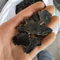 玄参  玄参  中心圆片 选  【关书药业 】 产地 湖北省十堰市