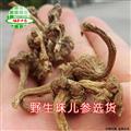 珠儿参 野生珠儿参选货 产地 云南省 买好药找娟子