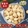 光慈姑 毛慈菇 山慈菇 冰球子 统 产地 云南省 祥泰中药行中药材批发零售诚信药材欢迎购买