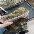 中药材 苏合香 苏合 开窍 辟秽 正品进口 包邮