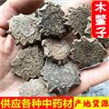 木鳖子 选装 供应各种中药材 诚信铸就未来 产地 江西省