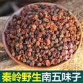 秦岭山区南五味子 新货日晒无硫干净一等品1000g