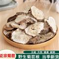 秦岭菊苣 手工铡片 日晒干净500g