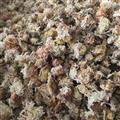 白色菊花 河北菊花 祁菊花 万信药业只做保真药材 今年新货 产地 河北省