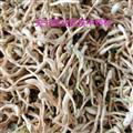 金银花 晒花 选  【 关书药业】专注品质 批发各种中药材 产地 河北省保定市清苑县