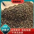 沙宛子 沙菀子 正品保证质量7天无理由退货退款同稳药材量大从优