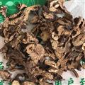 升麻 统 产地 黑龙江省 规格齐全 批发零售
