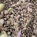 川牛膝 川牛膝薄片0.4筛 产地 四川省
