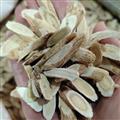 京辉药业 黄芪 瓜子片 优质