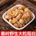 【新货大个味浓】秦岭野生薤白 野小蒜根 日晒无硫500g