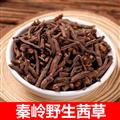 秦岭道地野生茜草根 新货主根日晒无硫1000g