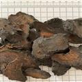 肉苁蓉 大云 硬大芸 好统货新货 产地 新疆维吾尔自治区