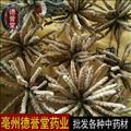 冬虫夏草 西藏 选冬虫夏草批发零售中药材各种规格冬虫夏草