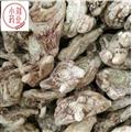 白芨 白芨个子 正品三叉白芨个 产地 云南省