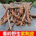 秦岭道地野生紫荆皮 资金皮 新货日晒无硫