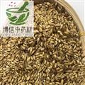 炒麦芽 麦芽统货 产地 山东省