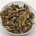 西番莲 别称-转心莲 西洋鞠 转枝莲 洋酸茄花 时计草