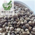白豆蔻 白豆蔻选货 产地 云南省
