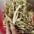 当归节 甘肃岷县当归节 大统货 批发