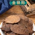 锁阳 精选锁阳大片 优质选货 原产地价格 诚信经营