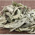 艾叶 精选 艾叶 产地批发 选好货到百新