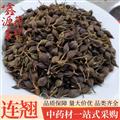 连翘 青连翘 无柄带柄 统 产地 广西壮族自治区