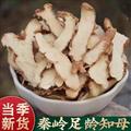 秦岭山区道地野生知母 之母 毛知母 新货日晒