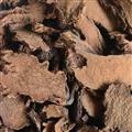锁阳 【地毛球 金锁阳】锁阳选片1.5-2.5 产地 新疆维吾尔自治区