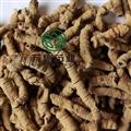 巴戟肉 中大肉 万信药业 今年新货 无虫蛀无霉变 产地 广东省