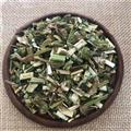 益母草 益母草绿色统段 产地 山东省