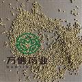 白芥子 净货 万信药业 干净无杂质 地道药材 产地直销 产地 四川省