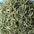 金银花 头茬花颜色青 产地 河南省新乡市封丘县