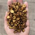 甘草 制甘草  统炙甘草草 产地 甘肃省