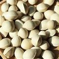 白果 精品带皮白果 天一百草药业 无虫蛀霉变 诚信经营  产地 山东省