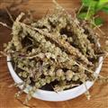 荆芥穗 荆芥穗精选货 干净过筛饱满 产地批发 诚信做人 良心做药